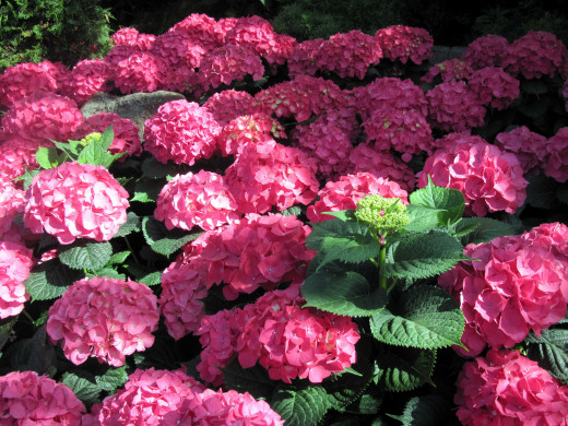 1084954 (a): :2560x1920